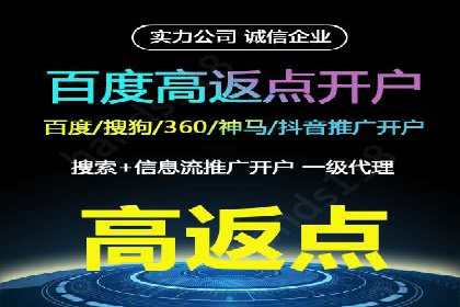 百度竞价策略解析：案例分析及优化建议